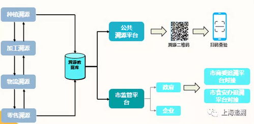強豐社區智慧微菜場 食品安全全程追溯系統的創新與應用